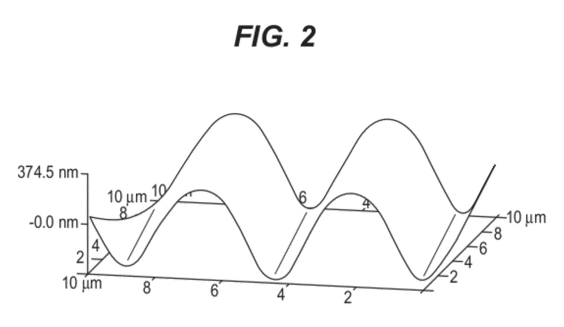 Silicone polymer substrates having improved biological response from hkdcs