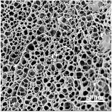 Preparation method of gradient macroporous conductive composite hydrogel for flexible strain sensor