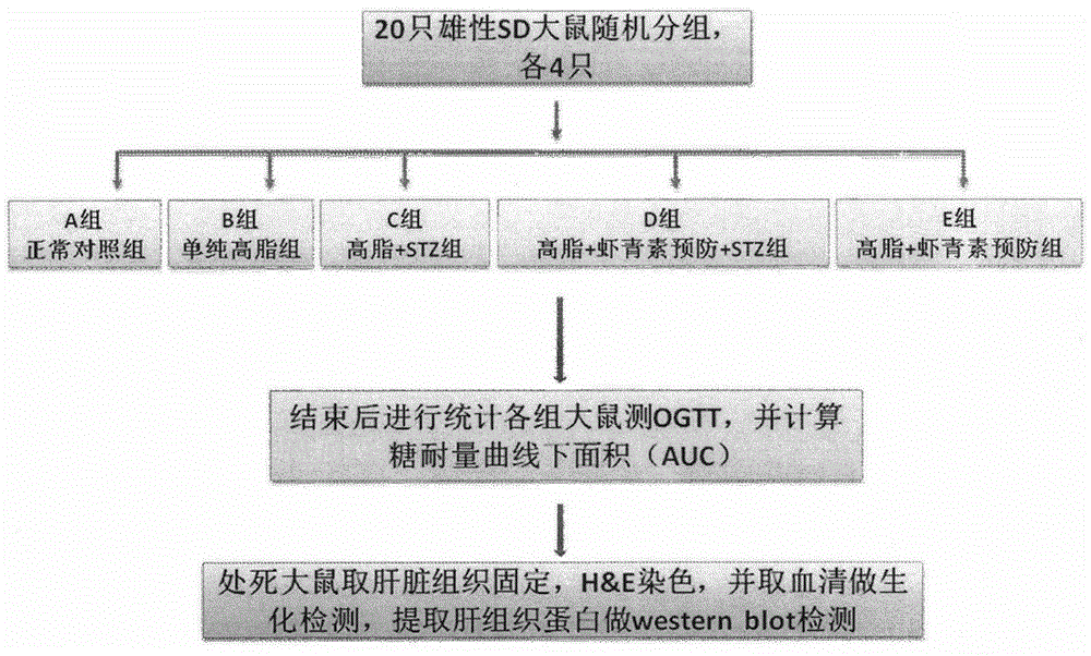 Application of astaxanthin in preparation of medicine preventing and curing diabetic depression