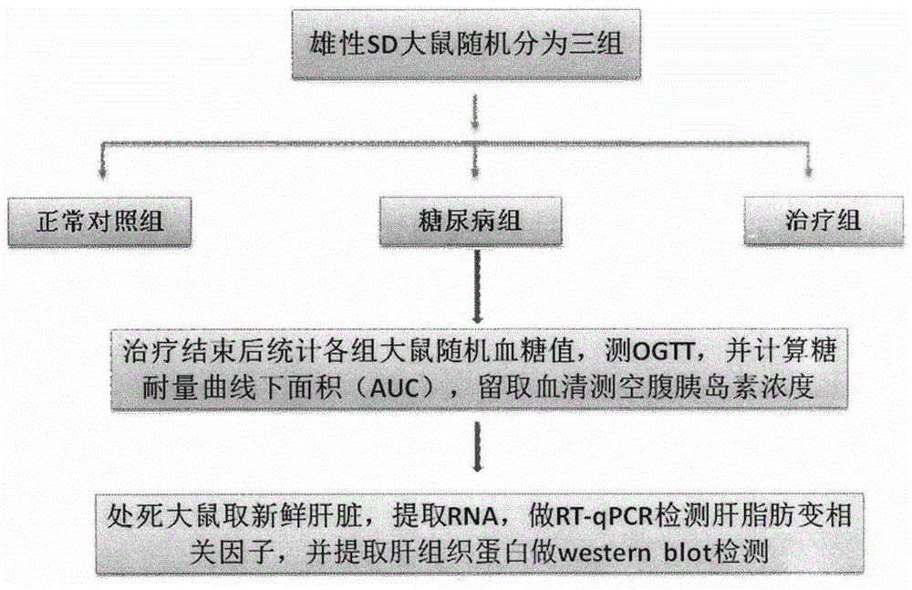 Application of astaxanthin in preparation of medicine preventing and curing diabetic depression