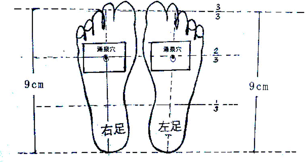 Blood pressure reducing black plaster and preparation method thereof