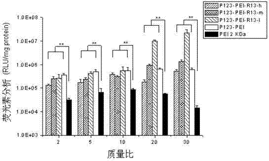 Gene vector modified by bifunctional peptide and preparation method thereof