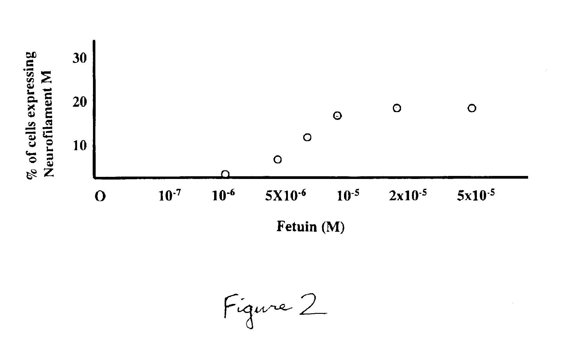 Transdifferentiation of epidermal basal cells into neural progenitor cells, neuronal cells and/or glial cells