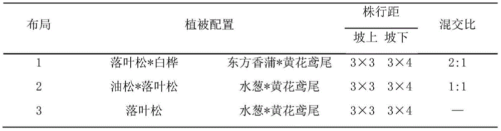 Configuration method of river-lake water body in-situ ecological purification system