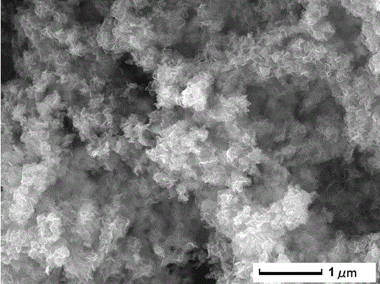 A kind of preparation method of chrysanthemum structure nanocomposite material