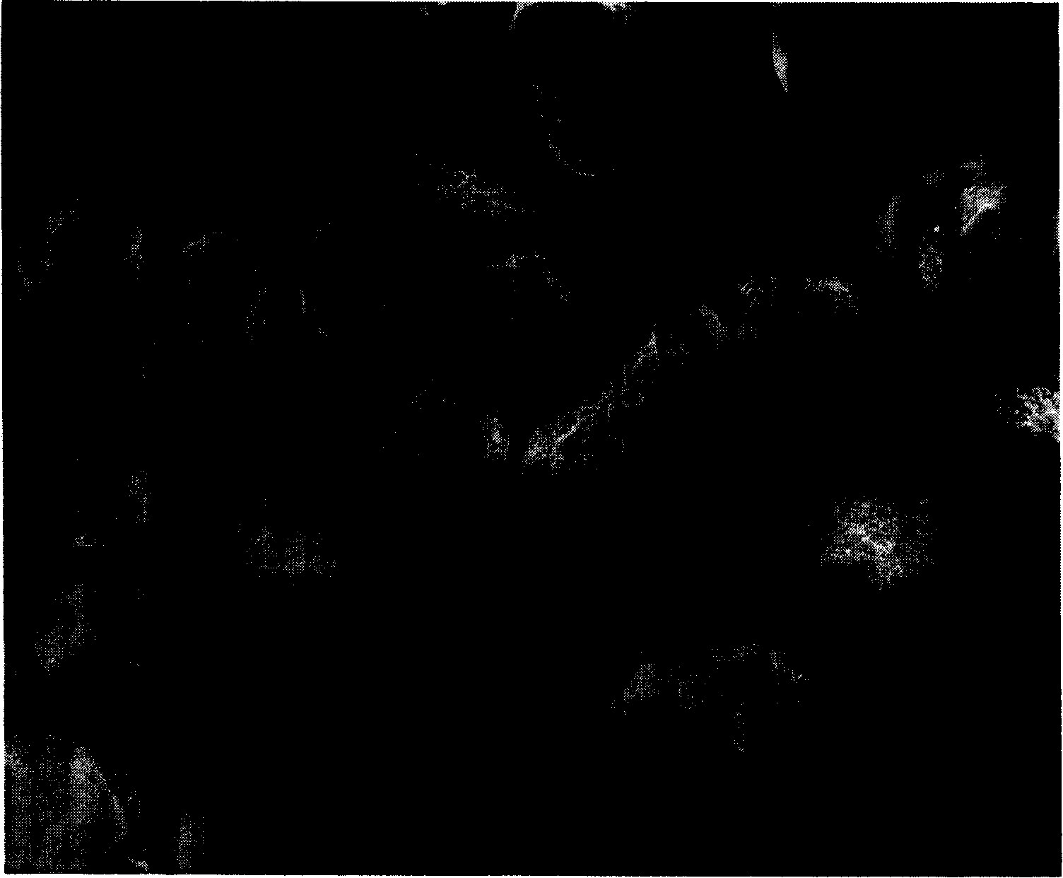 Drip-proof agent, preparation method thereof and thermoplastic resin products containing the same