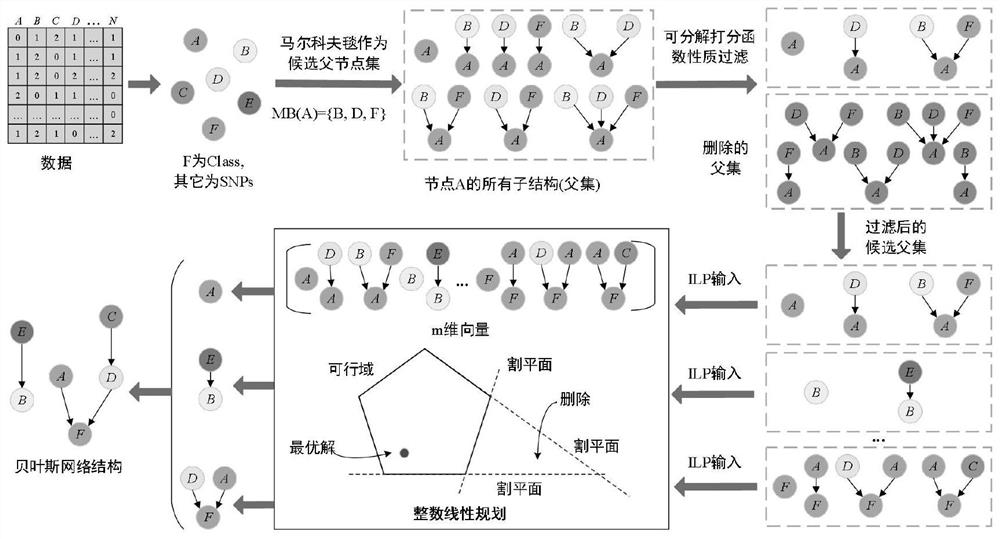 Epistasis site mining method of an integer linear programming optimization Bayesian network