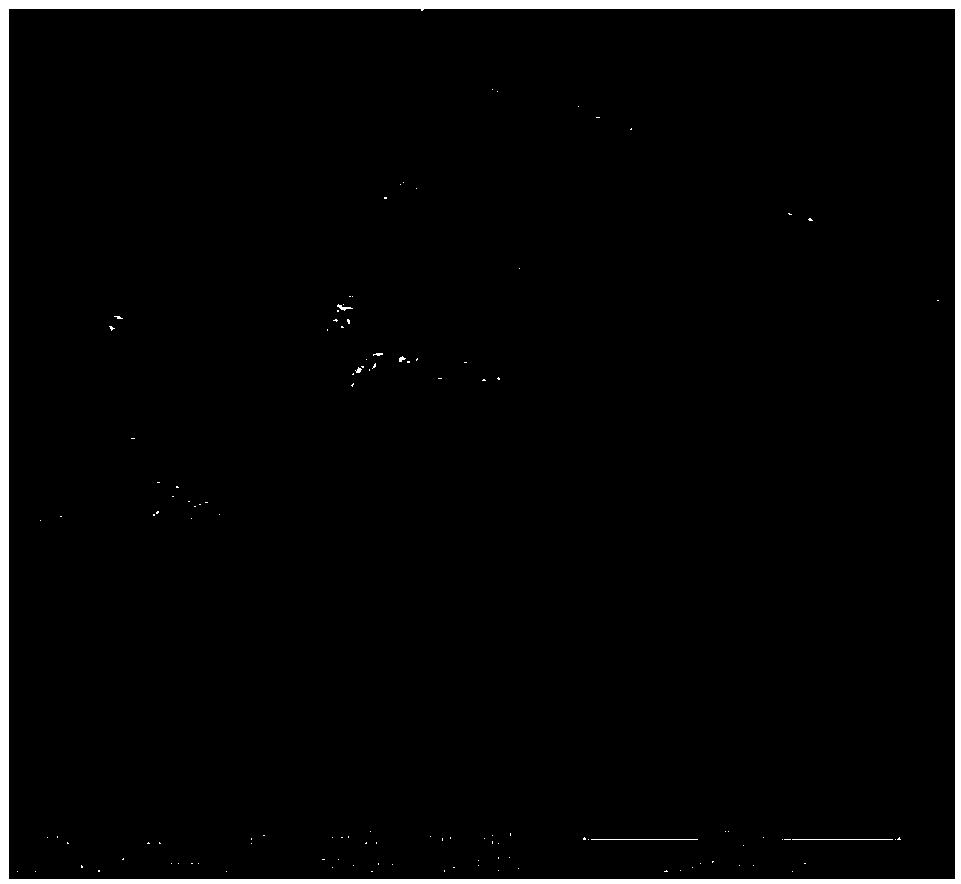 Short carbon fiber modified high friction composite and preparing method and application thereof