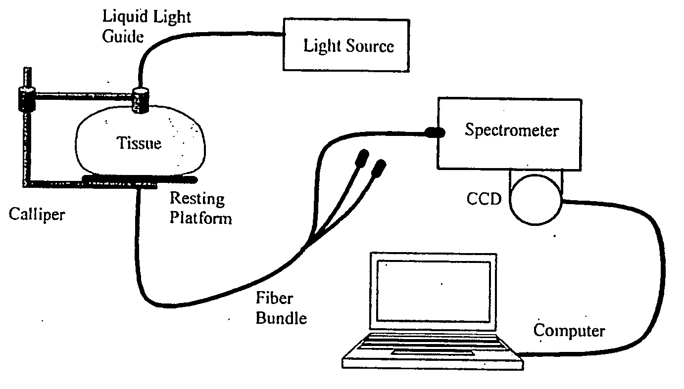 Optical transillumination and reflectance spectroscopy to quantify disease risk