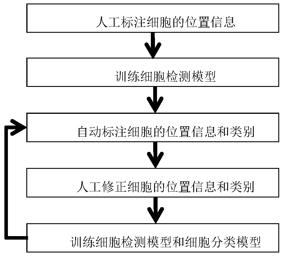 Cell labeling system and method