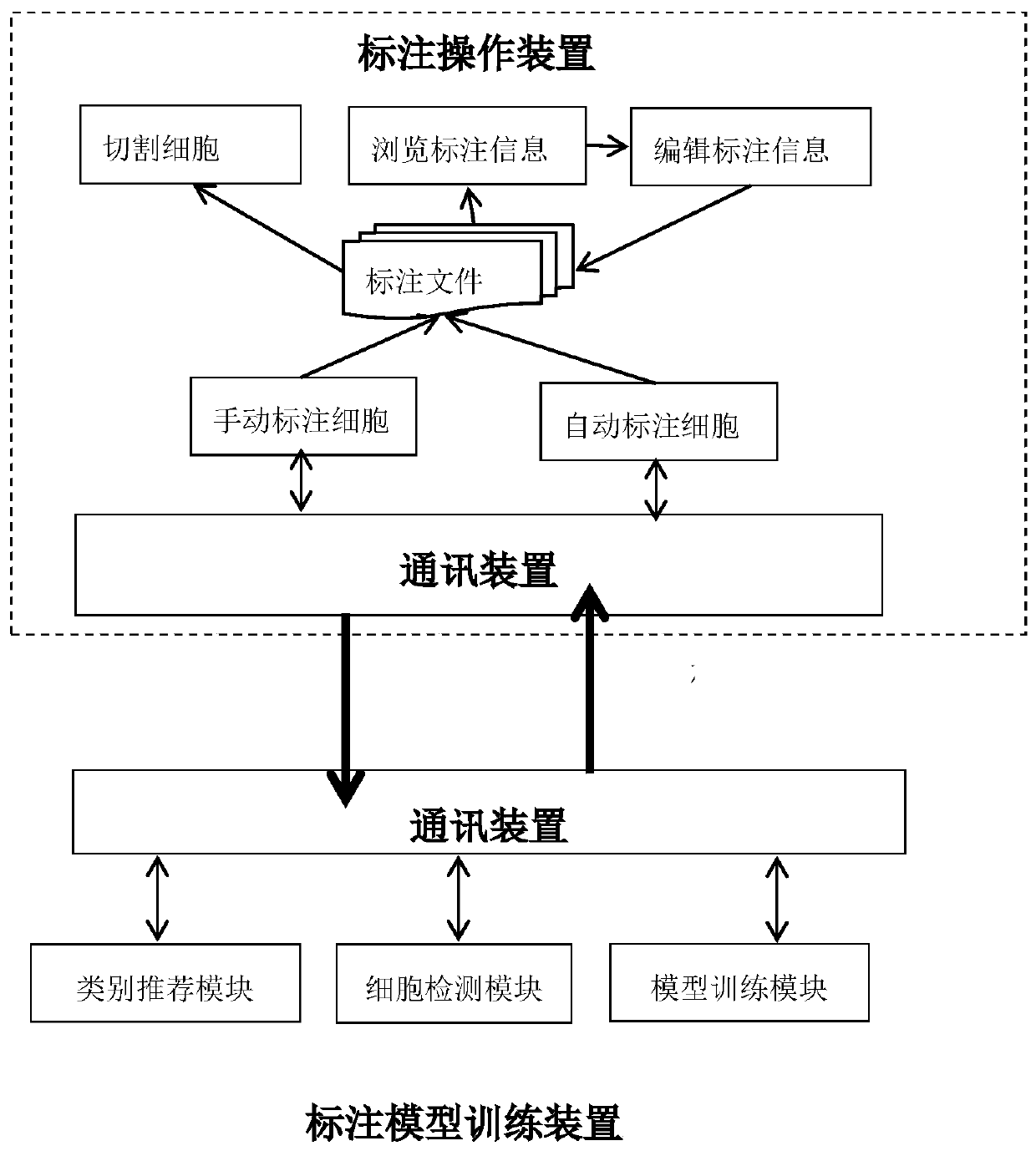 Cell labeling system and method