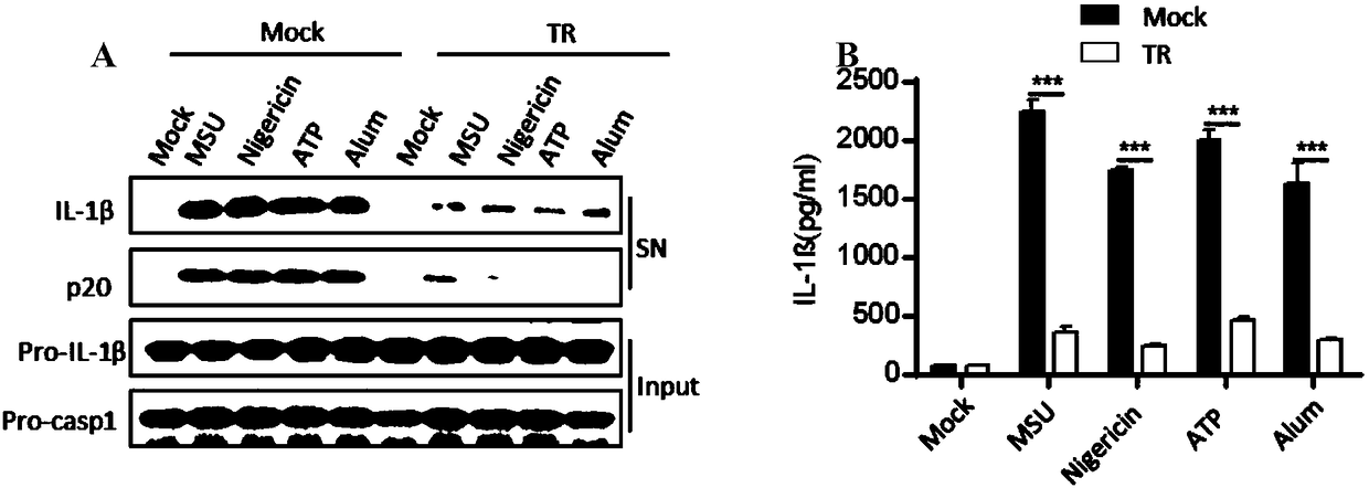 Novel applications of tranilast