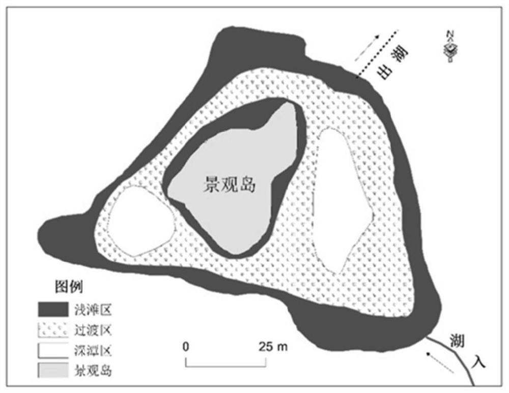 Ecological restoration method for lake oscillation water in plain river network area