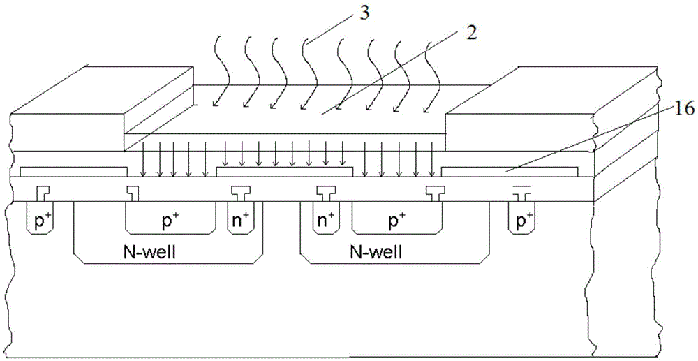 cmos contact fluorescence detection analysis array sensor chip