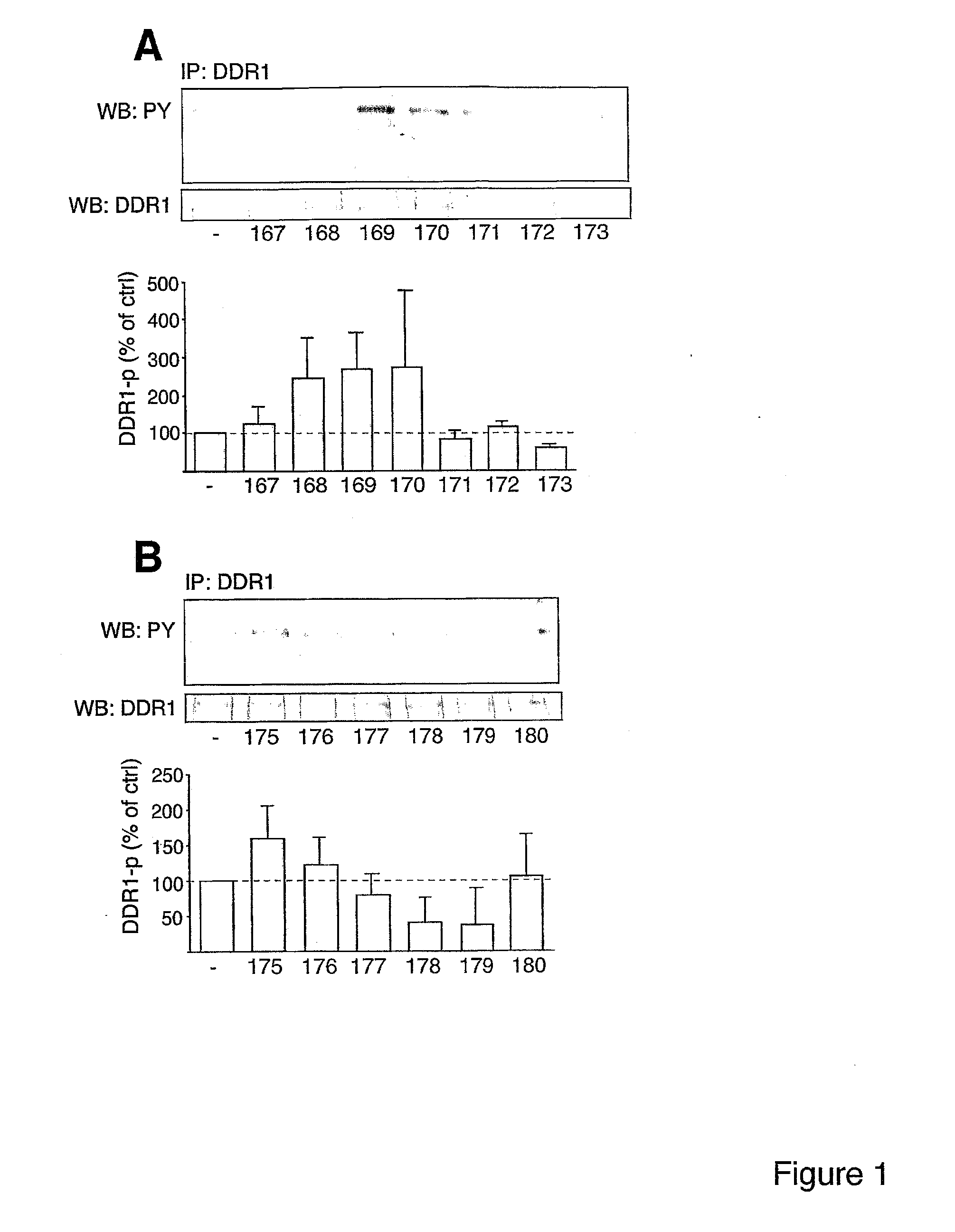 Peptide ligand to impair cancer cell migration