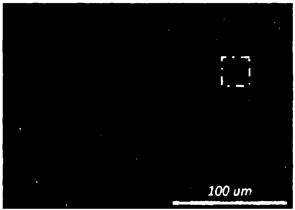 Copper tin alloy-based three-dimensional copper tin compound nanoparticle-microporous copper lithium ion battery cathode and one-step preparation method