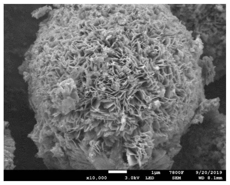 Bismuth trioxide modified indium-doped zinc oxide material and preparation and application thereof