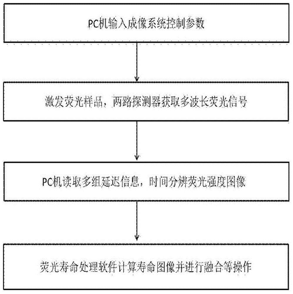 Dual-channel-based multispectral fluorescence imaging microscopy system and method