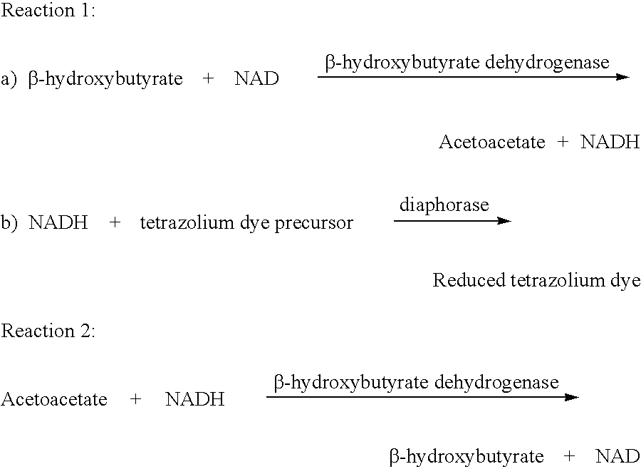 Method and test strips for the measurement of fat loss during weight loss programs