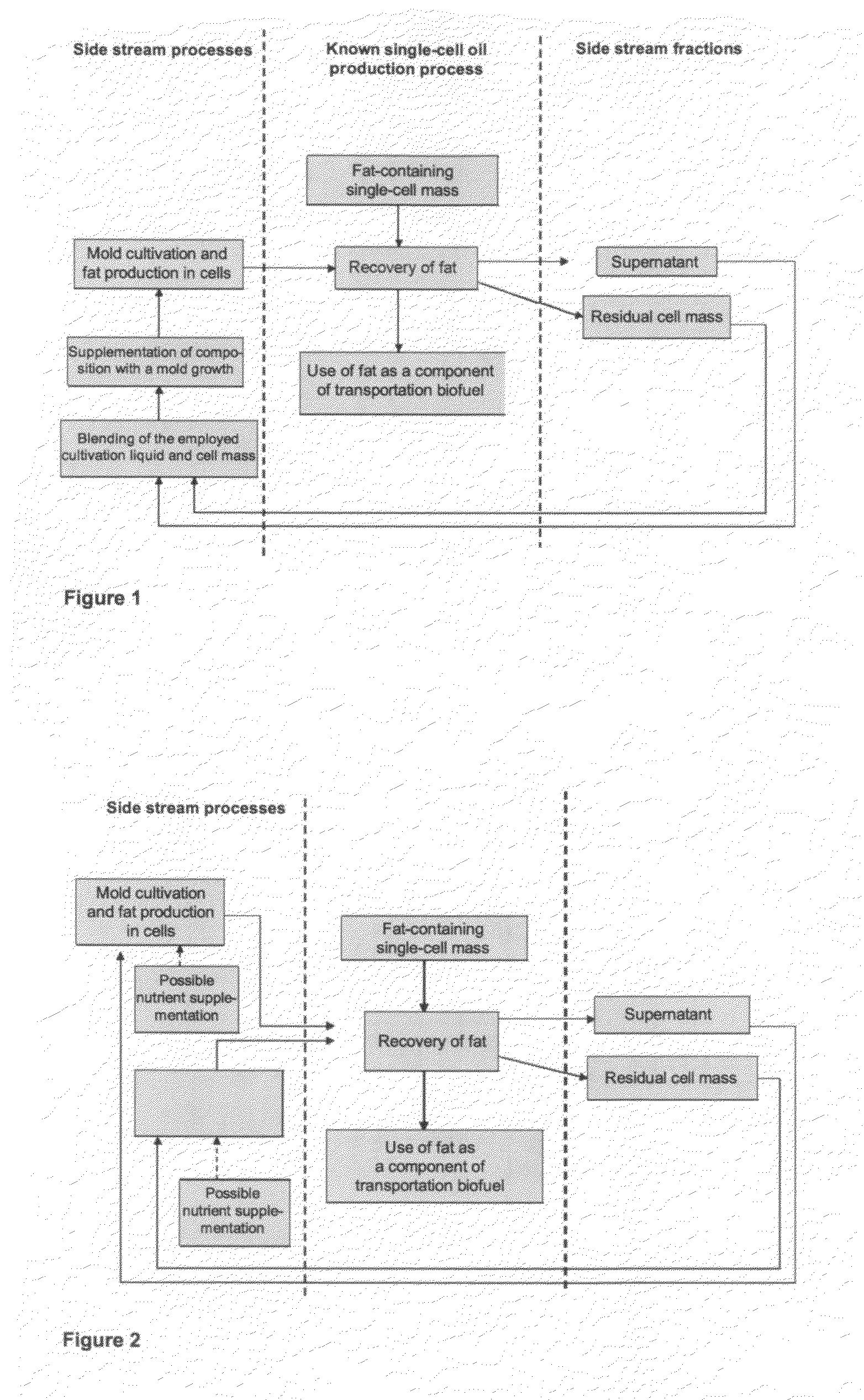 Method for the production of fat