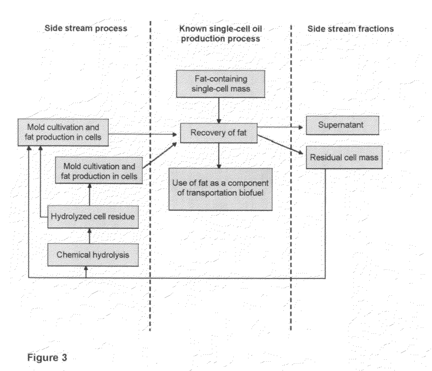 Method for the production of fat