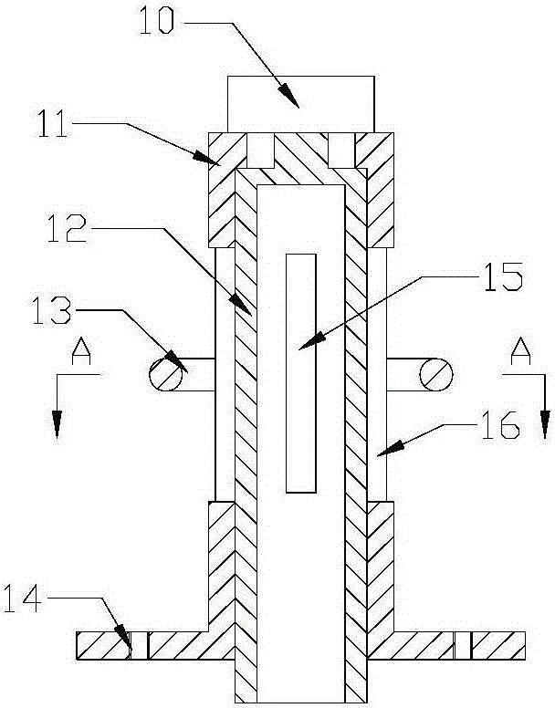 Static pressure type shelling machine of moringa seeds and shelling method