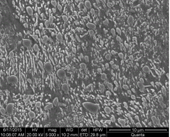 Preheat treatment method for large-size forged steel supporting roller