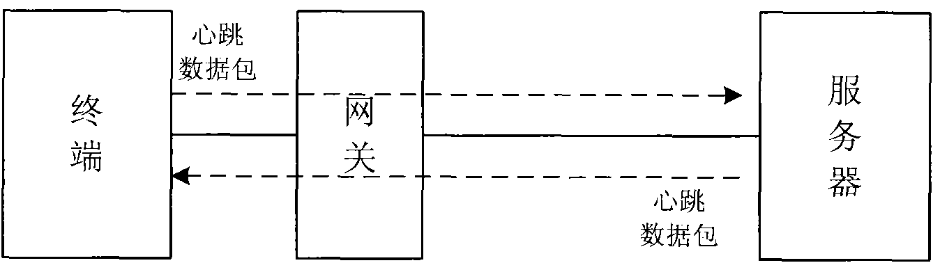 Method for maintaining connection of terminal and network server, terminal and network server