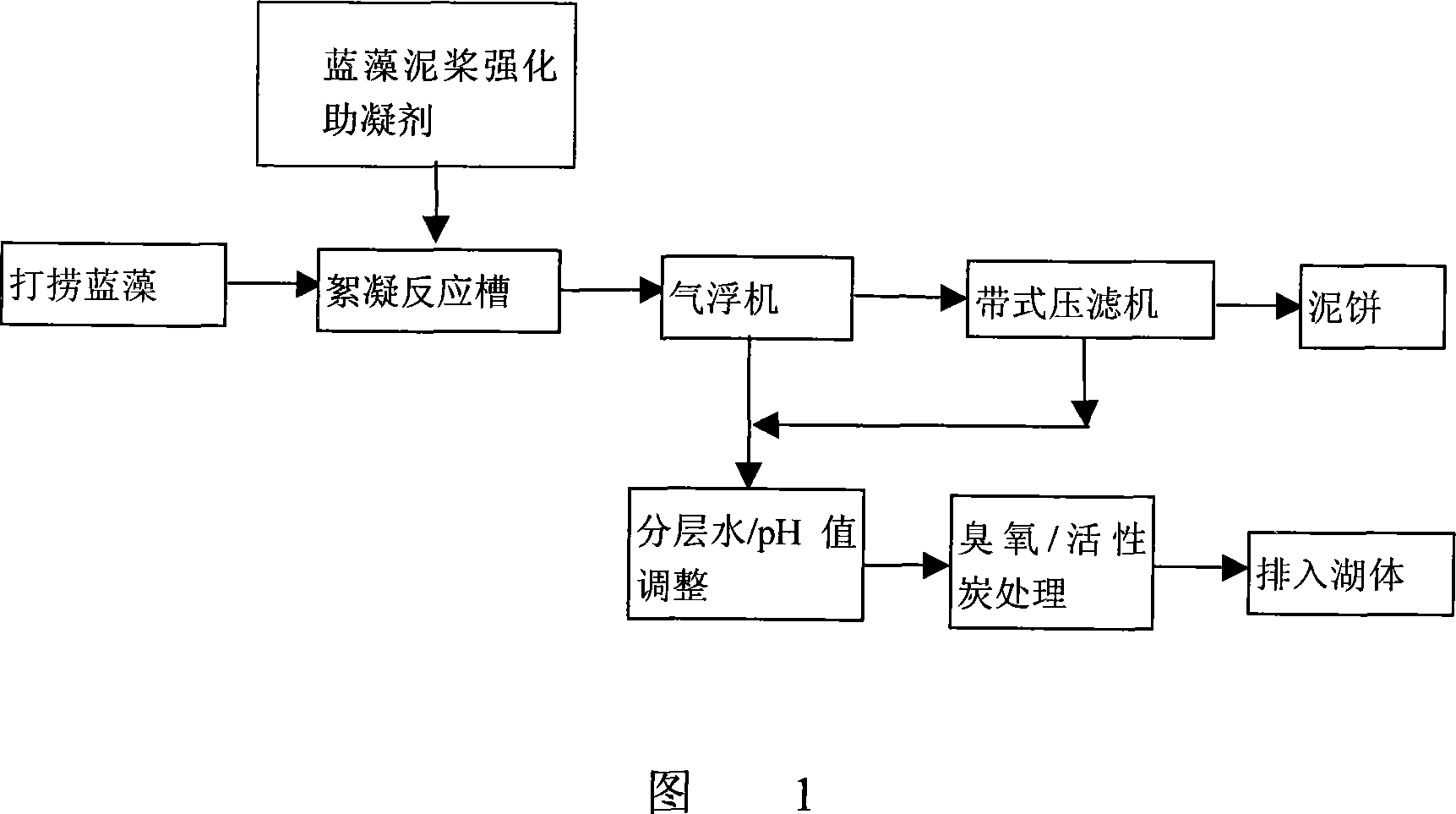 Blue algae mud reinforced coagulant aid and application thereof in blue algae mud treatment