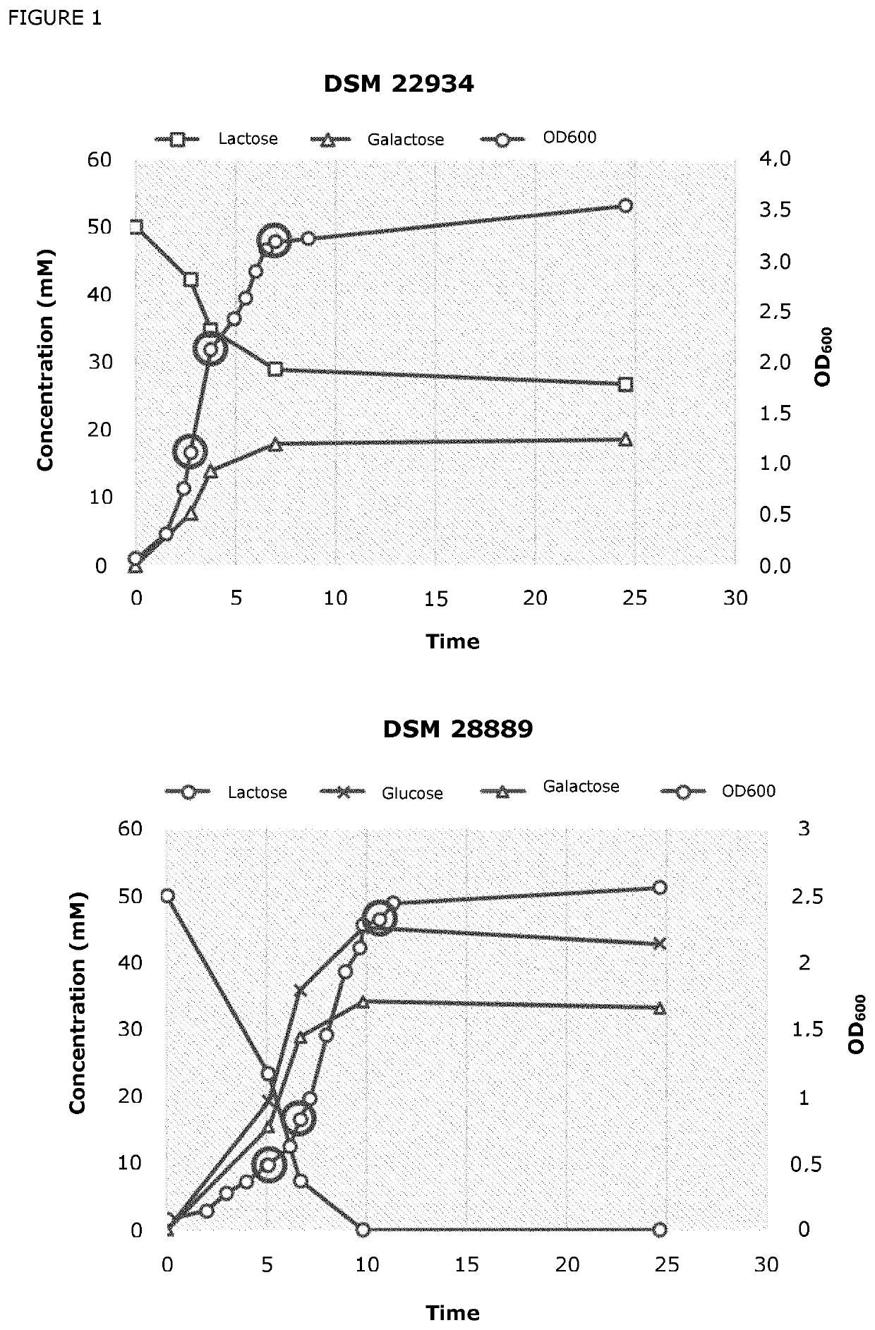 Production of lactase enzymes using altered regulation strains