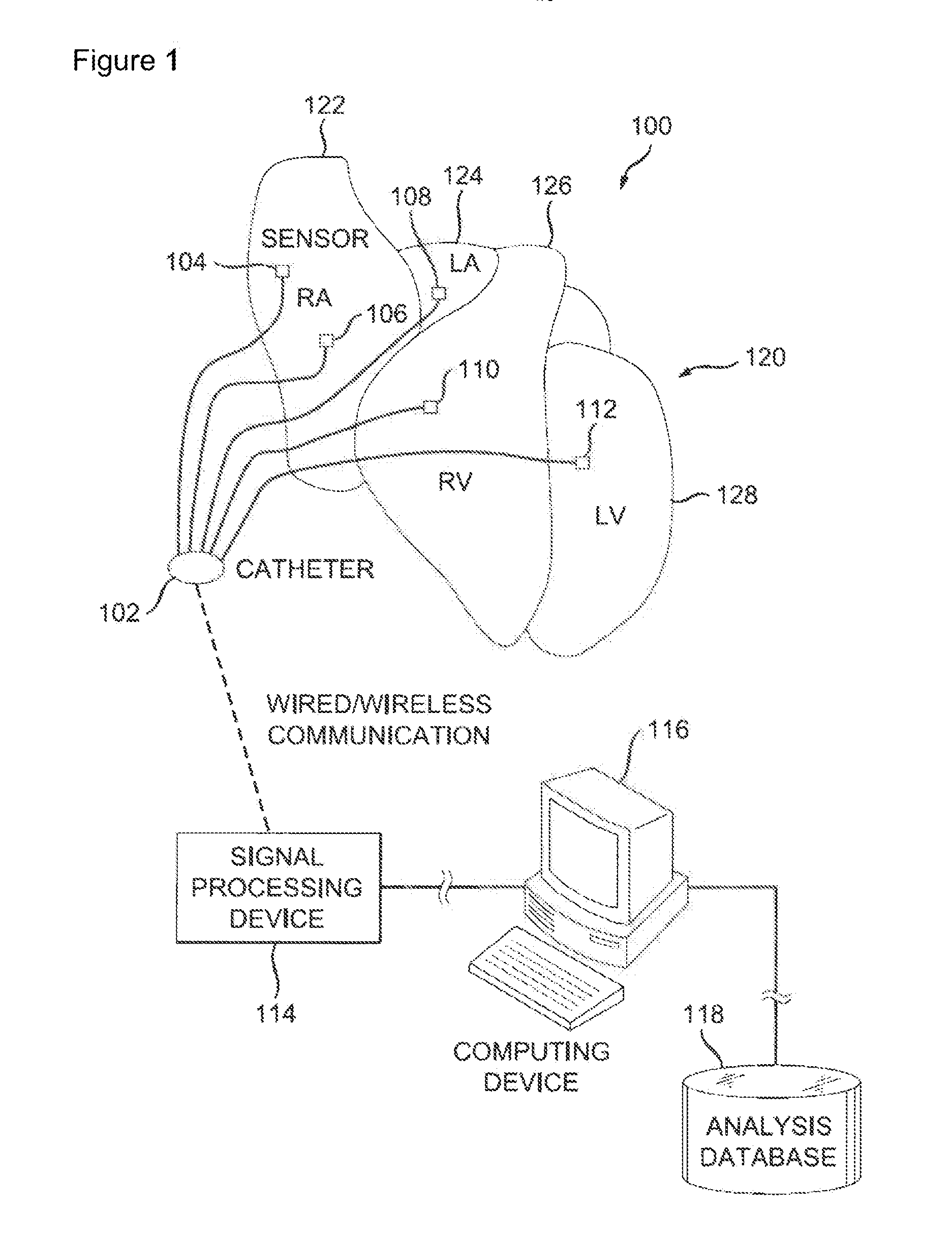 System and method of identifying sources for biological rhythms