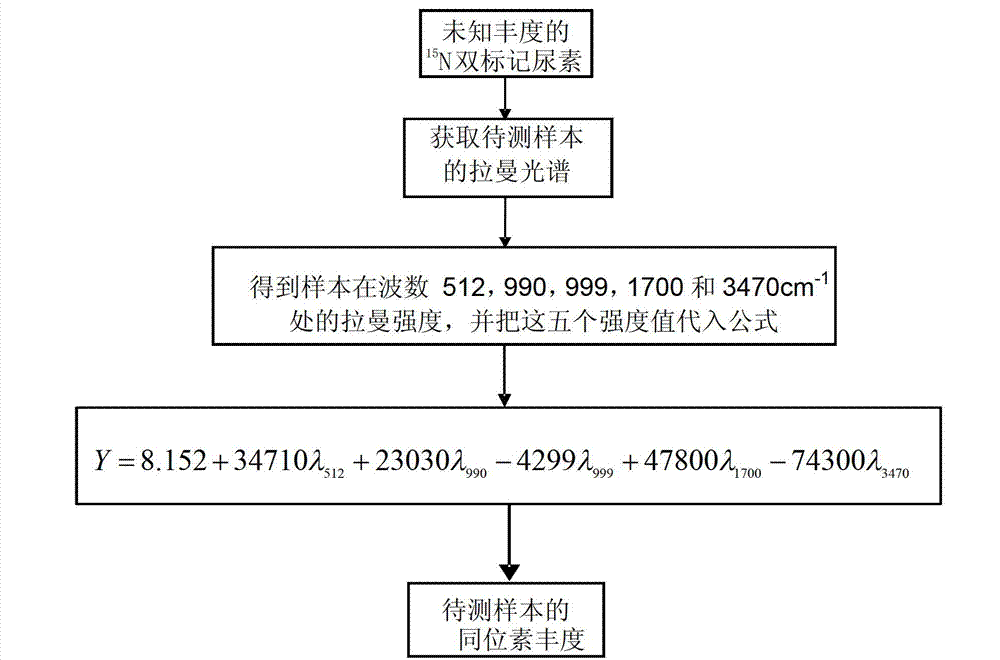 Urea isotopic abundance rapid detection method based on Raman spectrum