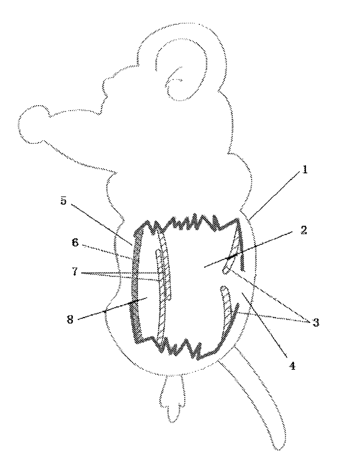 Pet cat toy