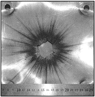 An anti-heat insulation/protection integrated space debris protection structure and its application