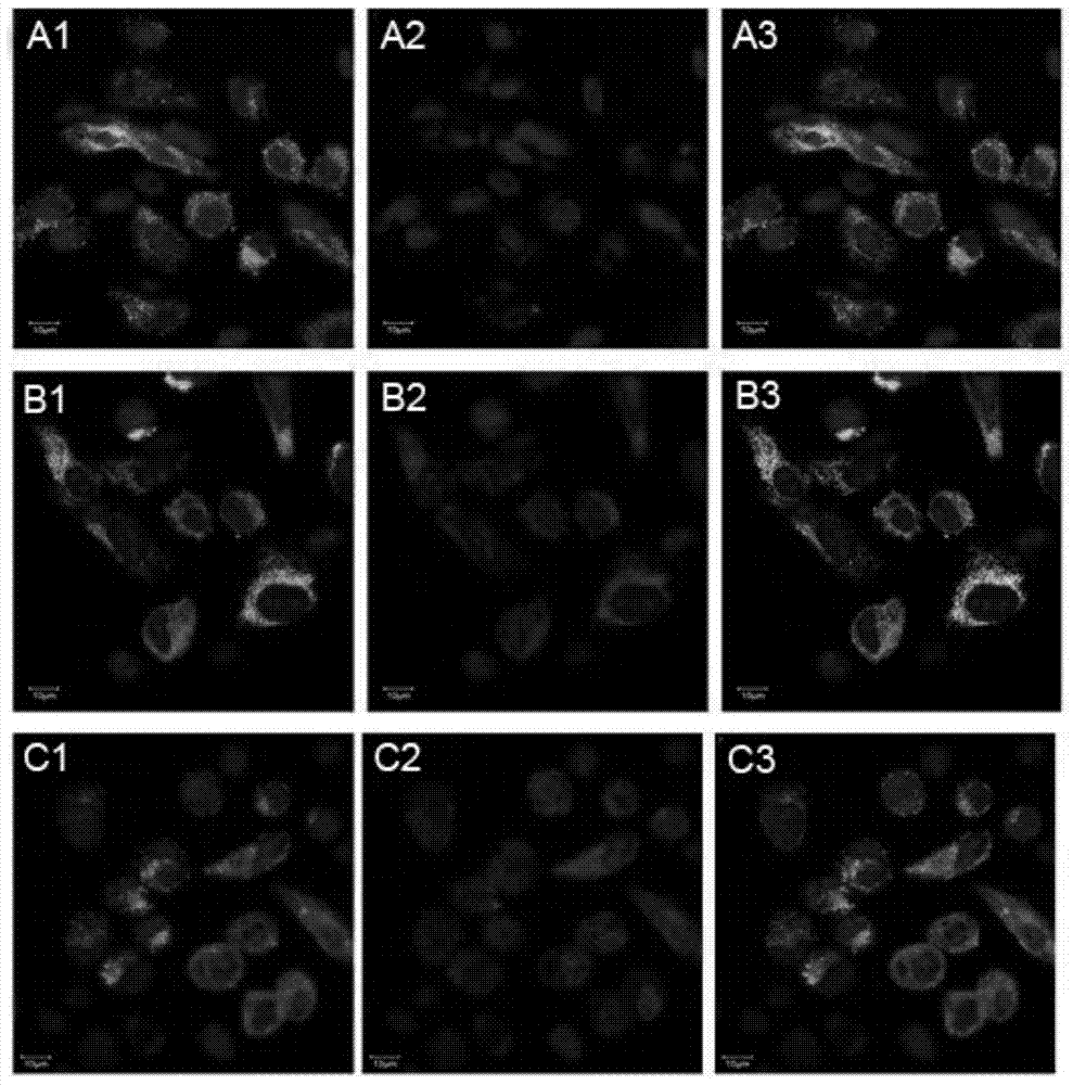 A method for inducing mouse embryonic stem cells to differentiate inner ear hair cells