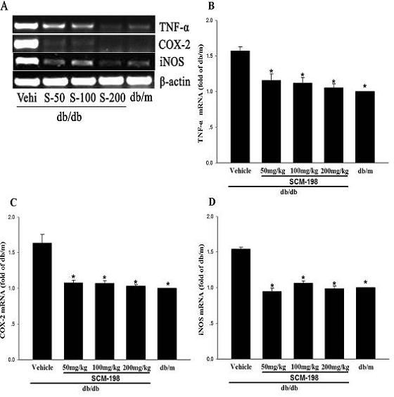 Application of leonurine to preparation of medicament for treating 2-type diabetes