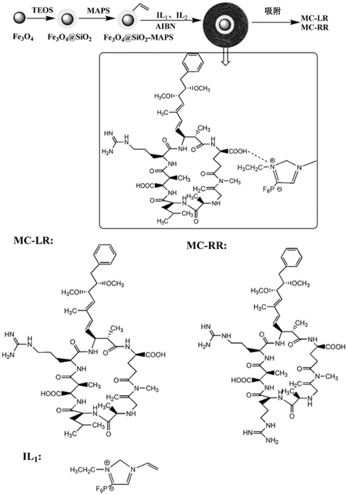 Magnetic polymerization ionic liquid for detecting microcystic toxins and preparation method and application of magnetic polymerization ionic liquid