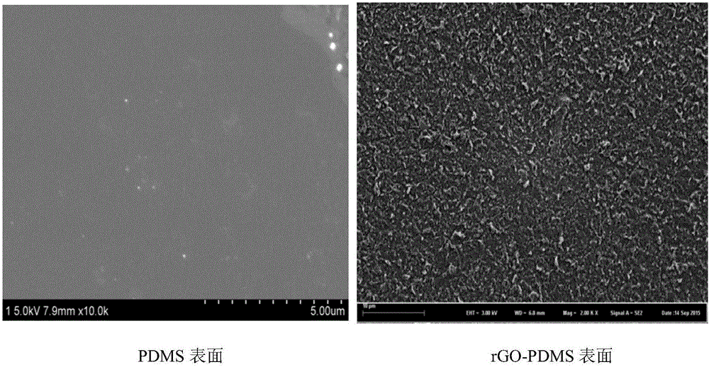 Apical impulse sensor based on reduced graphene oxide film with bilayer buckling structure