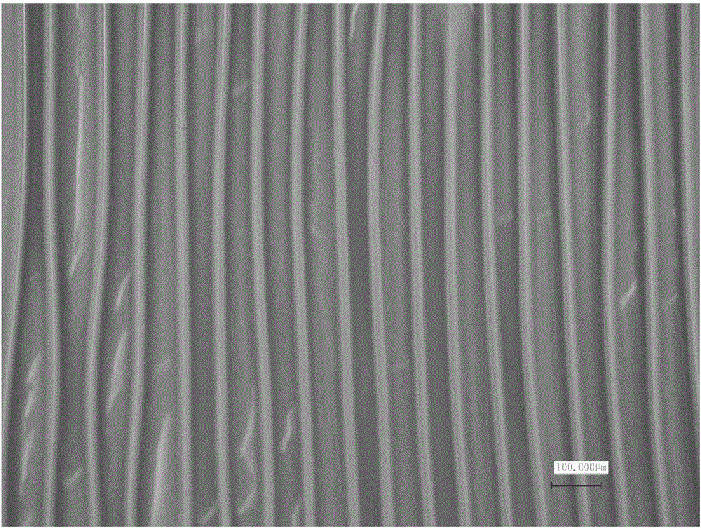 Apical impulse sensor based on reduced graphene oxide film with bilayer buckling structure