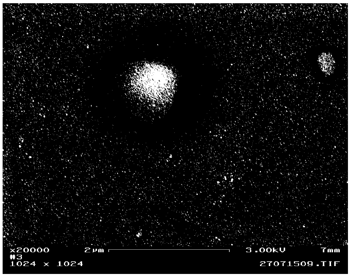 Preparation method for surface-enhanced Raman scattering substrate