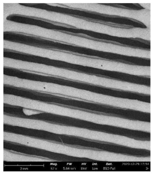 3D printing ginkgo biloba extract tablet and preparation method thereof