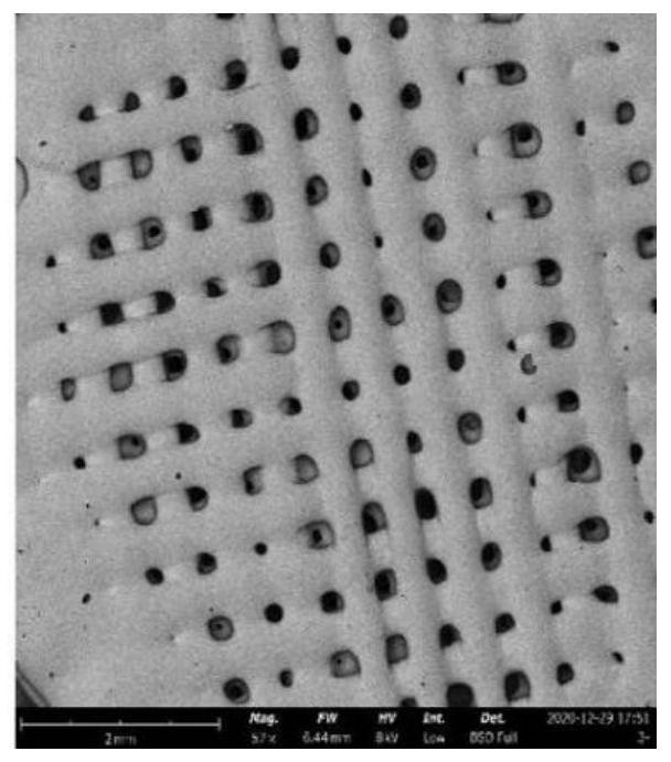 3D printing ginkgo biloba extract tablet and preparation method thereof