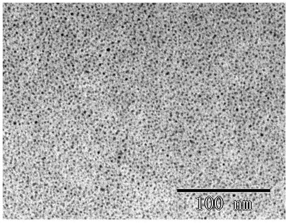 A preparation method of fluorescence-magnetic resonance dual-mode carbon quantum dots