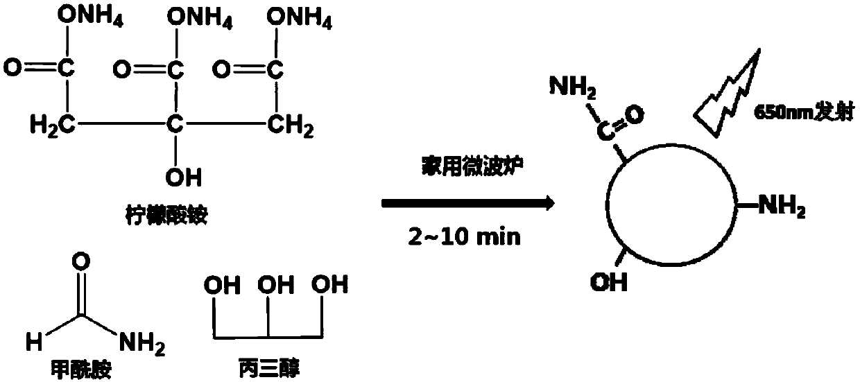 Red light emitting carbon quantum dots and household microwave preparation method thereof