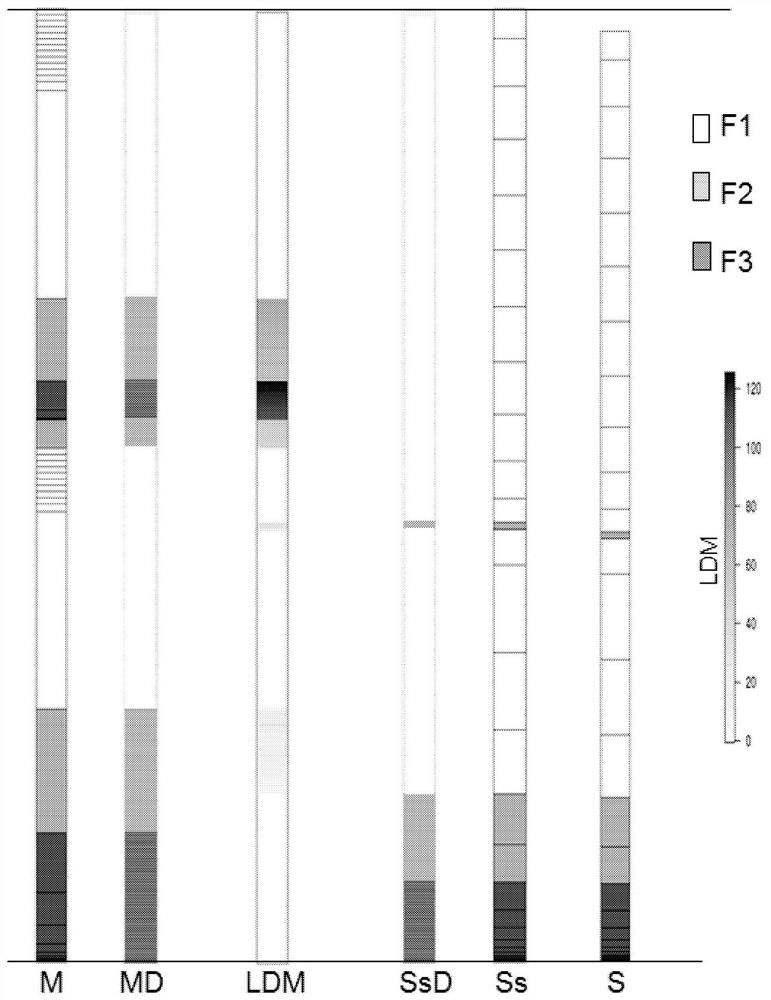 Method for updating stratigraphic model of sedimentary basin based on measurements