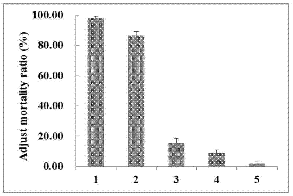 Bacillus mycoides r2 strain and its application in the control of plant root-knot nematode