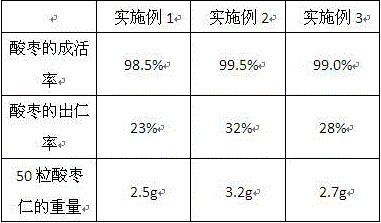 Root salt control method adopting rock-wool infiltration layer and application of root salt control method in planting of wild jujube in saline-alkaline land