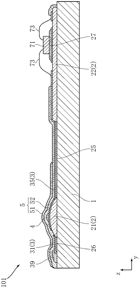 thermal print head