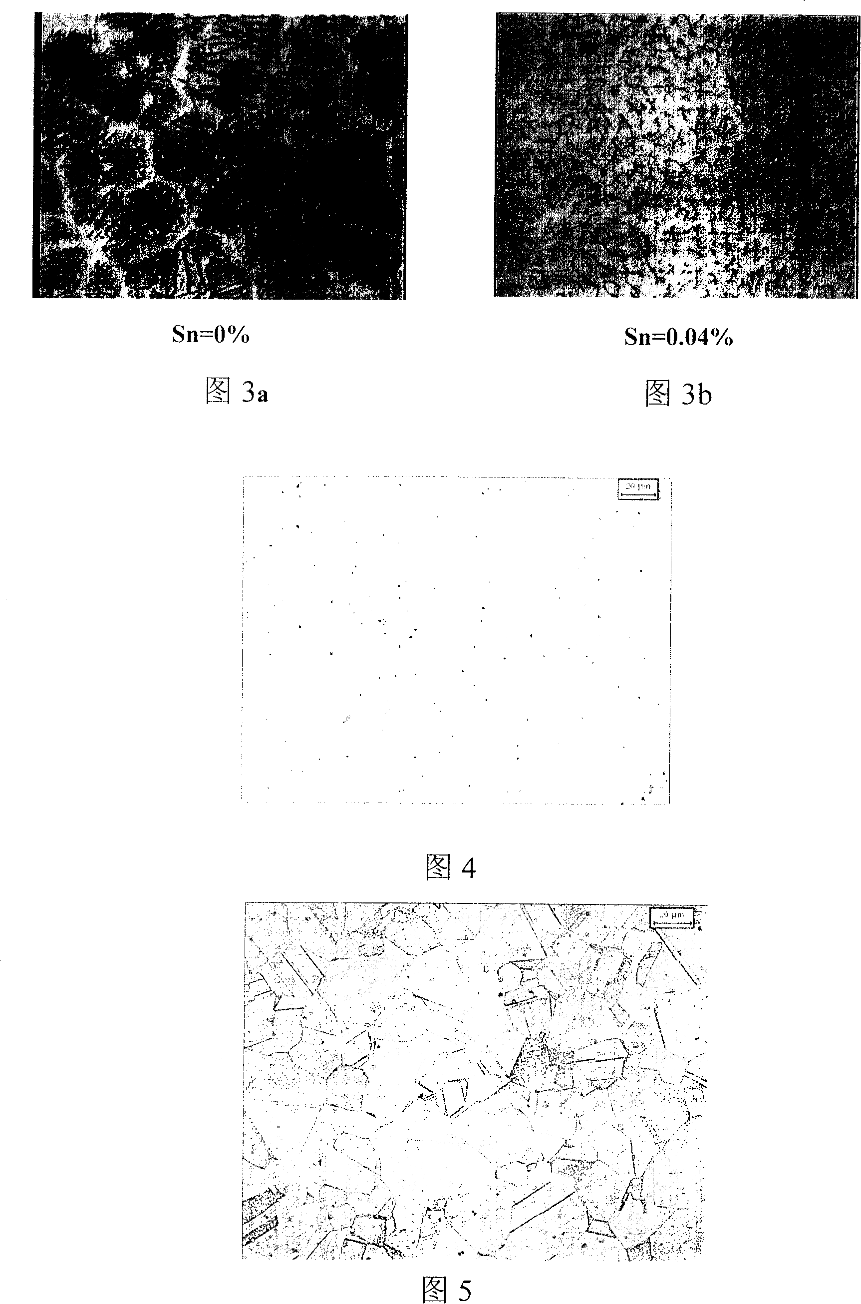 Thin belt continuous casting austenitic stainless steel belt and manufacturing method thereof