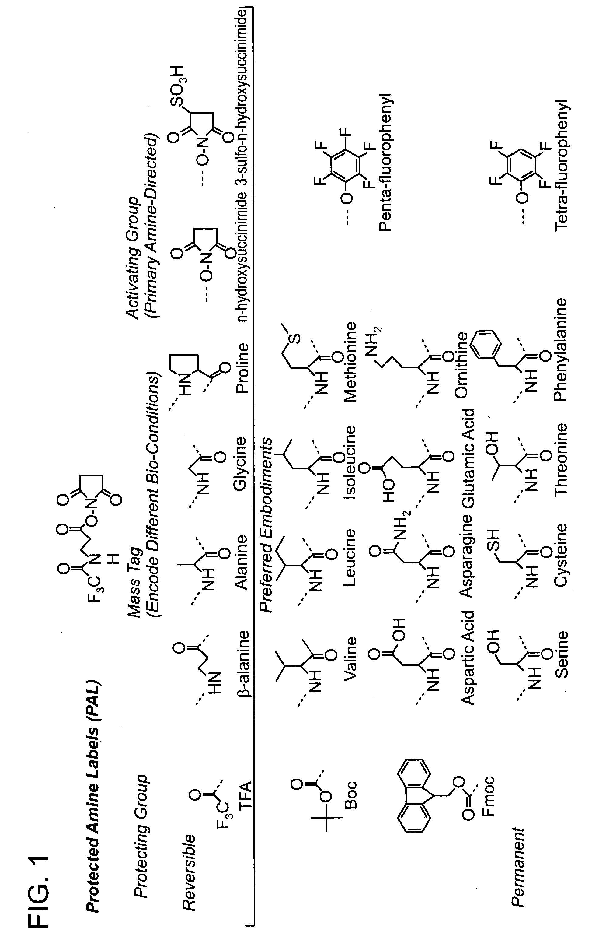 Protected amine labels and use in detecting analytes